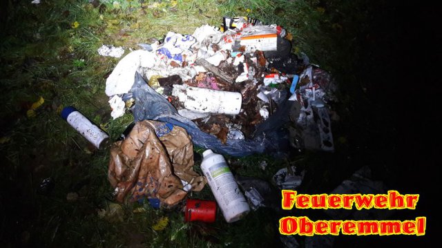 Umwelteinsatz Fallweiher 19_11_19 (3)